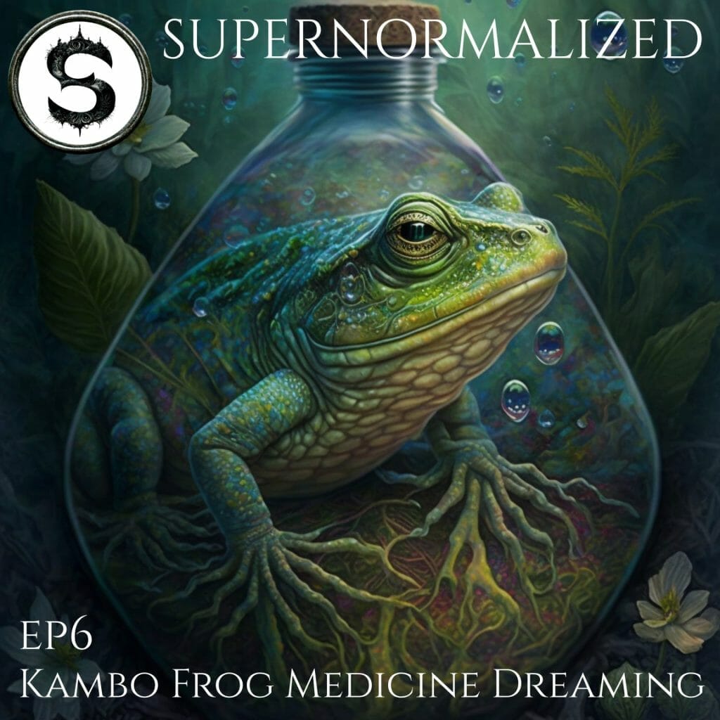 Supernormalized Episode 6 - Kambo frog medicine dreaming