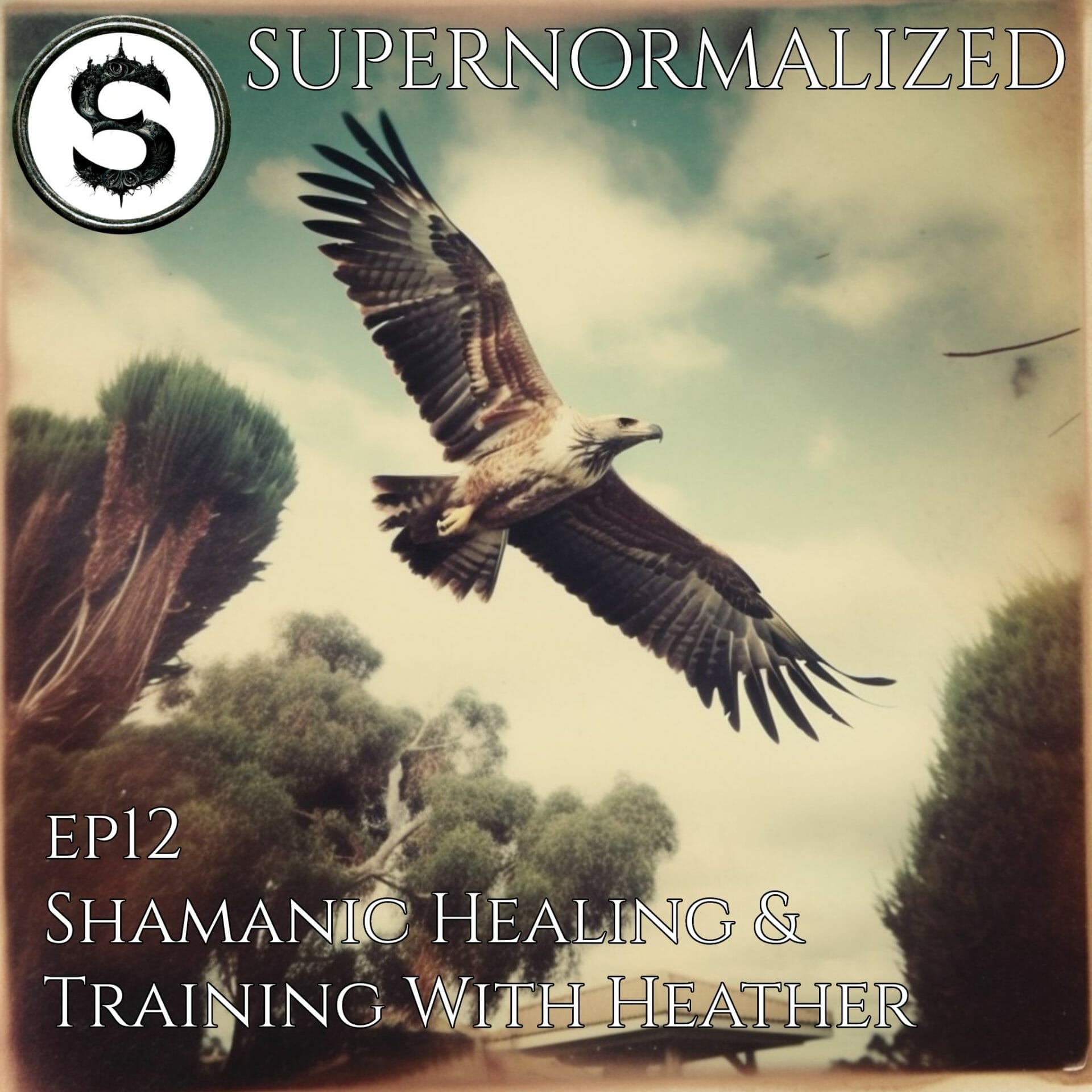 Shamanic Healing & Training With Heather
